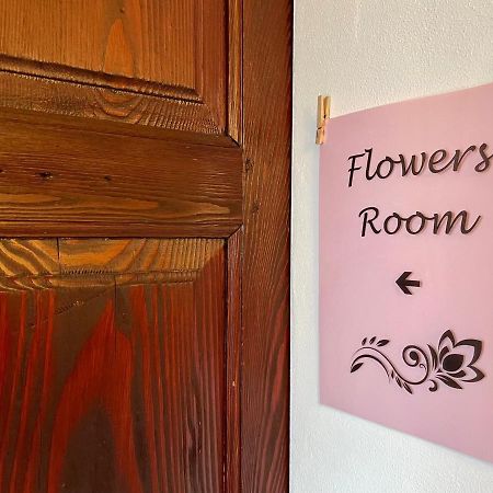 1912 - Flowers Room - Budget For Young Locarno Eksteriør billede